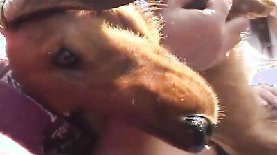 Bestiality games: dogs porn yong girls