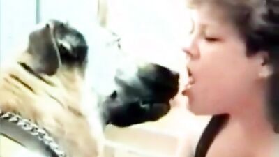 Dog licking girl: porn zoo video