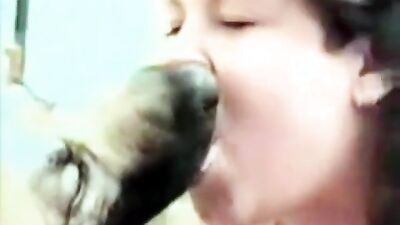 Dog licking girl: porn zoo video