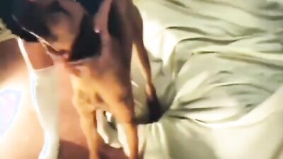 3d dog sex: home zoo porn