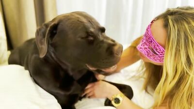 Bestiality xxx: dog dildo sex
