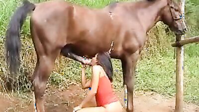 1 girl 5 dog: desert storm zoo porn