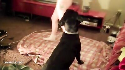 Art of zoo porn: dogging group sex