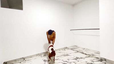3d dog sex: real animals sex tubes