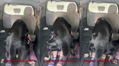 Zoo porno video: girl cam sex dog