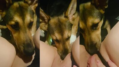 3d dog sex: gay animal sex