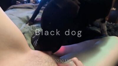 Zoo porno video: asian animal sex