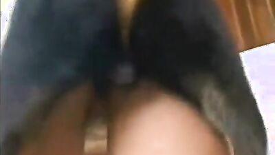 Girls s dogs: animals vs women sex