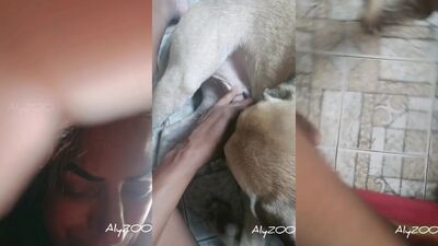 Bestiality sex id: porn art bone tale manor dog