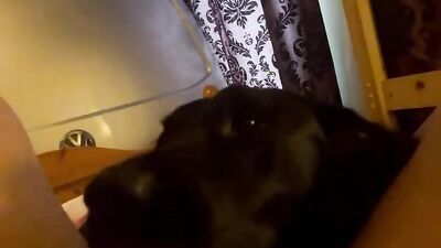 Bestiali comics: dog cumshot porn