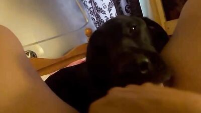 Bestiali comics: dog cumshot porn