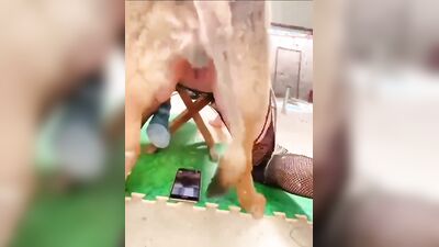 Women's dog sex: black dog sex