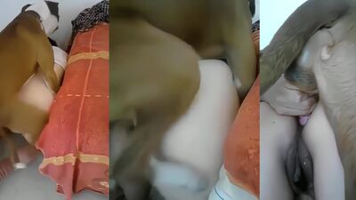 Dog girl anal: girl into dog