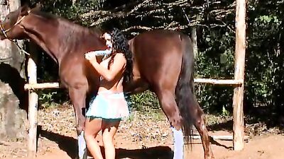 Bestiality porno: zoophilia horse