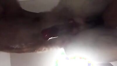 Zoo sex porn: horses porn girl zoo