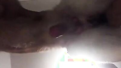 Zoo sex porn: horses porn girl zoo