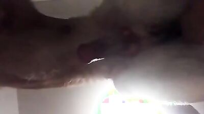 Zoo sex porn: horses porn girl zoo