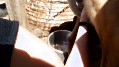 Teen zoo porn: hard zoophilia
