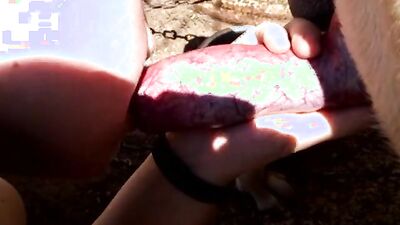 Teen zoo porn: hard zoophilia