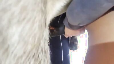 2 dogs 1 girl: yasmine zoo porn