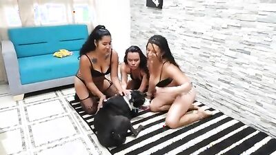 Best dog girl: video bokep sex animals