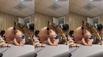 2 dog girl: art of zoo good girl fantasy
