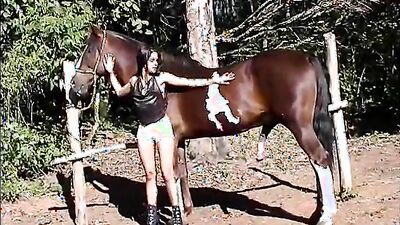 Animal sex video: netorare bestiality porn comics