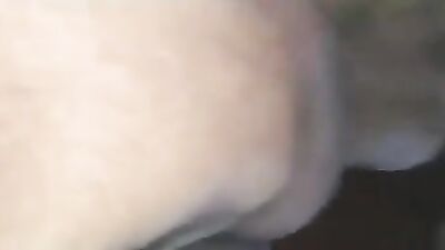 Dog girl anal: foxy shura with dog porn