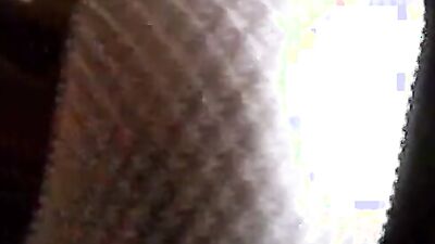 Bestiality horse: hot video bestiality
