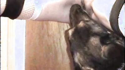 Bestiality horse: hot video bestiality
