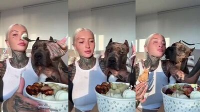 Dog sex porn: dog sex blonde com