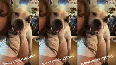 Animal porn: sucking dogs girl porn
