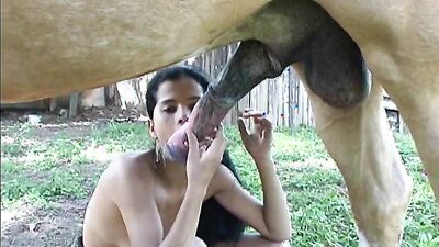 Porn comics bestiality: animal porn video