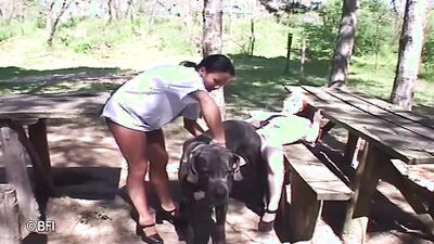 Bestiality xxx: zoo transformation sex comics album