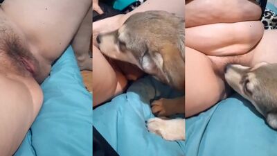 Animal dog sex: girl rides dog cock