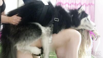 Women's dog sex: homemade video of sex with a dog