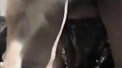 Zoo porn man: sony zoo porn