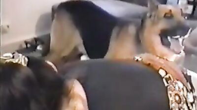 Zoo porn man: sony zoo porn
