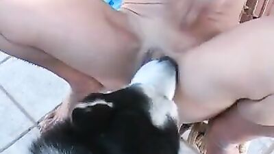 Animal dog sex: sex anal real zoo