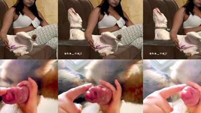 Dog girl anal: pornovolk dog girl and guy