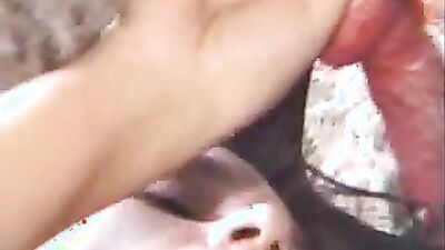 Animal sex video: zoo porn news