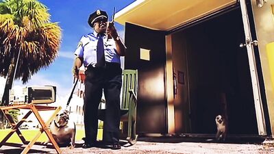 Teen zoo porn: good animal sex