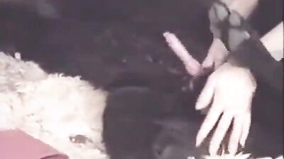 Bestiality hentai: girls kissing dogs porn