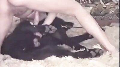 Bestiality hentai: girls kissing dogs porn