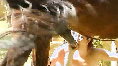 3d dog sex: porn zoo the dog sitter part 2