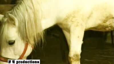 Bestiality games: dog sex force