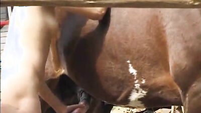 Dog lick girl: video blg dogs zoo porno