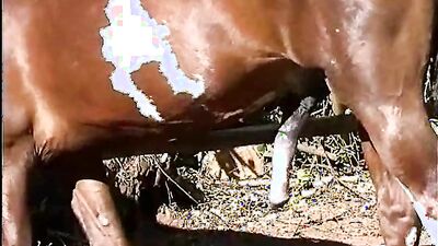 Fucking dogging porn: sex by gay boys and zoo