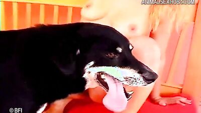 Dog sex: ninja gaiden momiji zoophilia hentai 3d