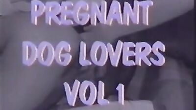 Zoo porn video: xxx comix bestiality